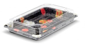 conservazione e confezionamento